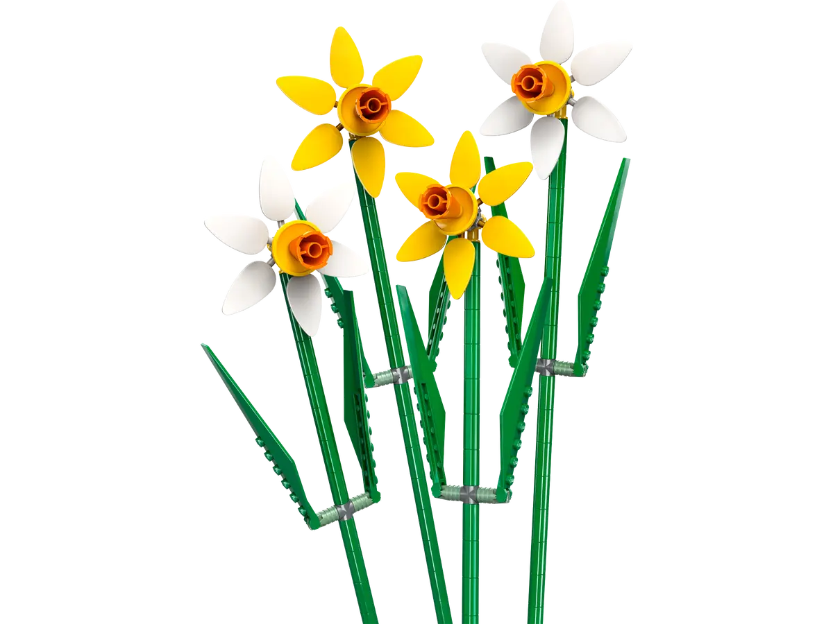 Daffodils 2024 Dreamworld LEGO Store