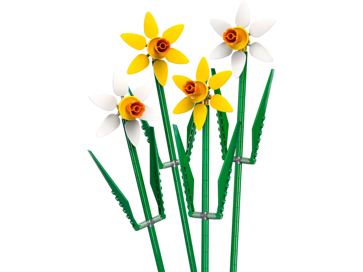 Daffodils 2024 Dreamworld LEGO Store daffodils-2024-dreamworld-lego-store