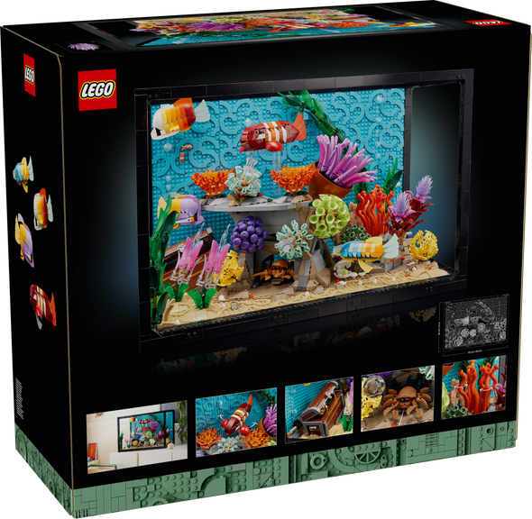 Tropical Aquarium