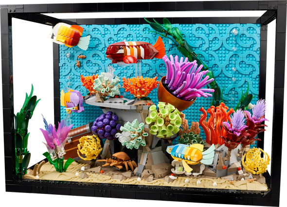 Tropical Aquarium