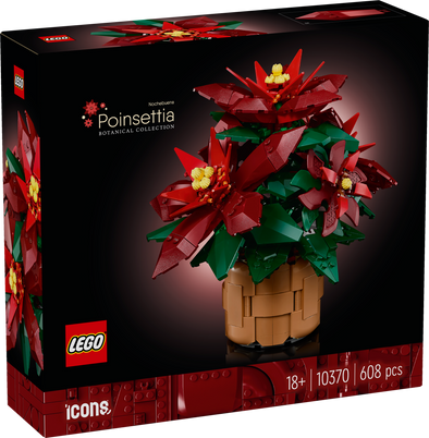 Poinsettia