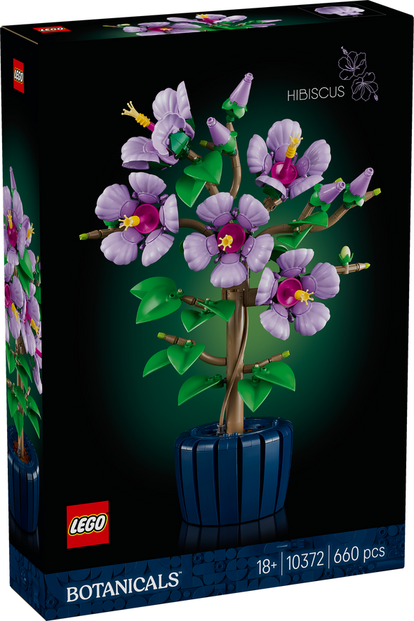 Hibiscus