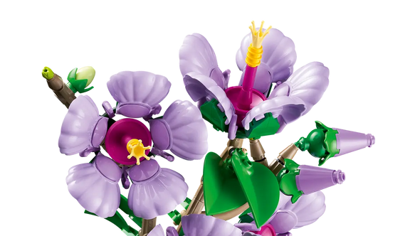 Hibiscus