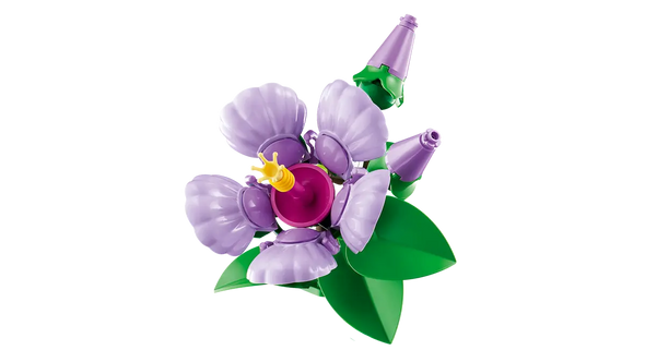 Hibiscus