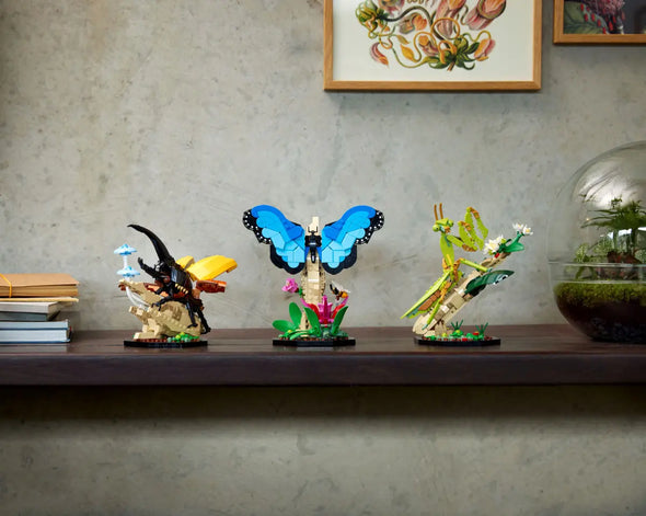 The Insect Collection