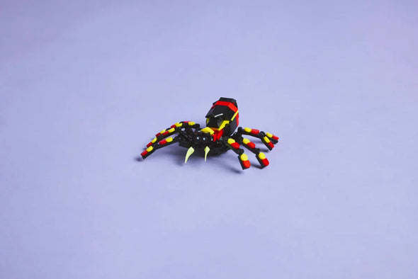 Wild Animals: Surprising Spider