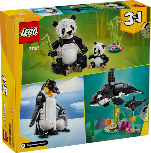 Wild Animals: Panda Family