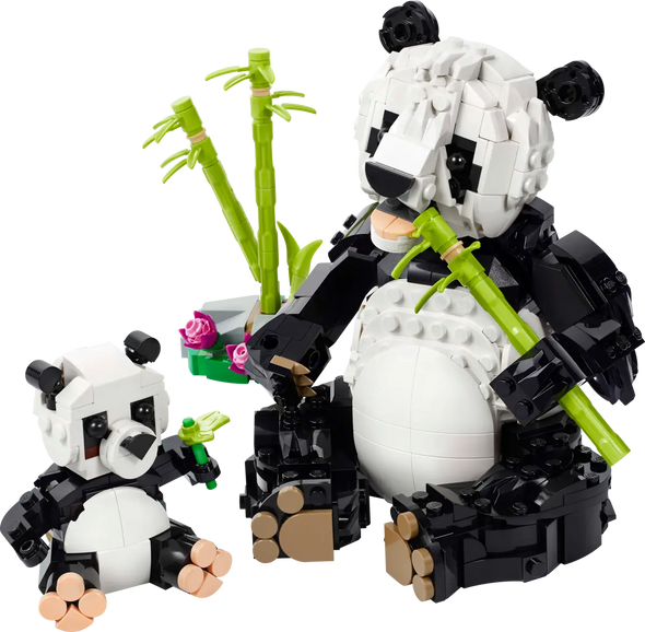 Wild Animals: Panda Family