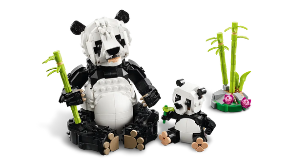 Wild Animals: Panda Family