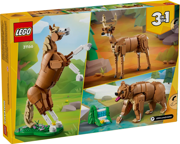 Beautiful Horse