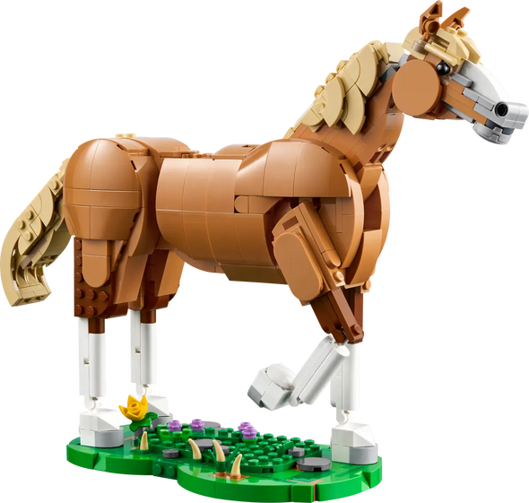 Beautiful Horse