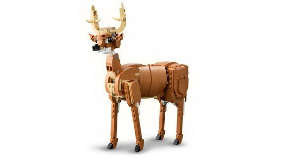 Beautiful Horse