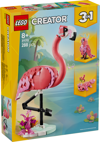 Wild Animals: Pink Flamingo