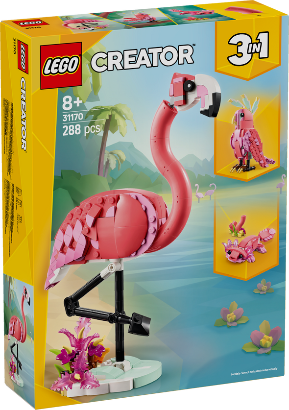 Wild Animals: Pink Flamingo