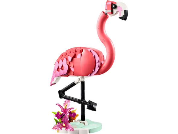 Wild Animals: Pink Flamingo