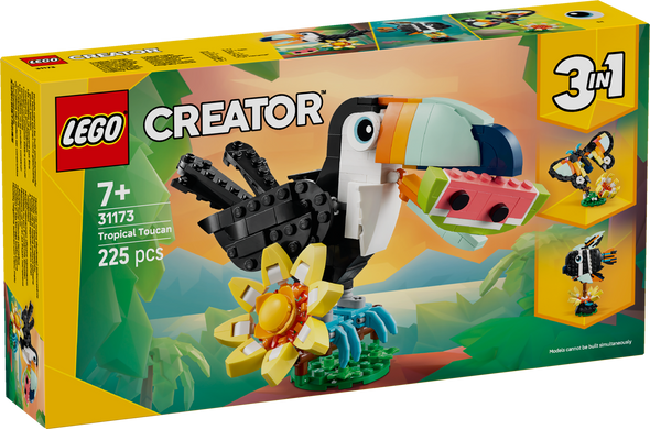 Wild Animals: Tropical Toucan