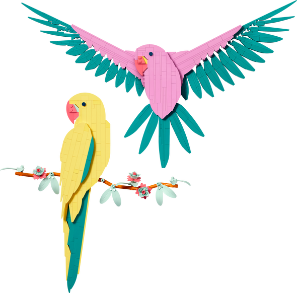 The Fauna Collection – Macaw Parrots