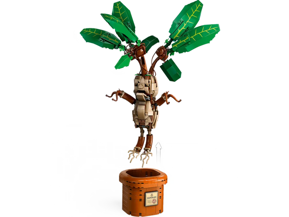 Mandrake