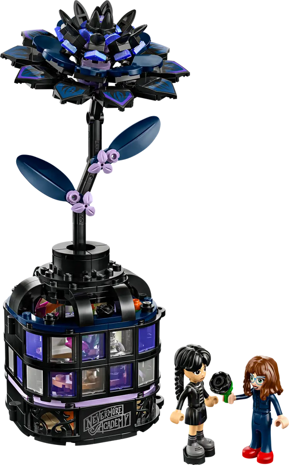 Black Dahlia Flower
