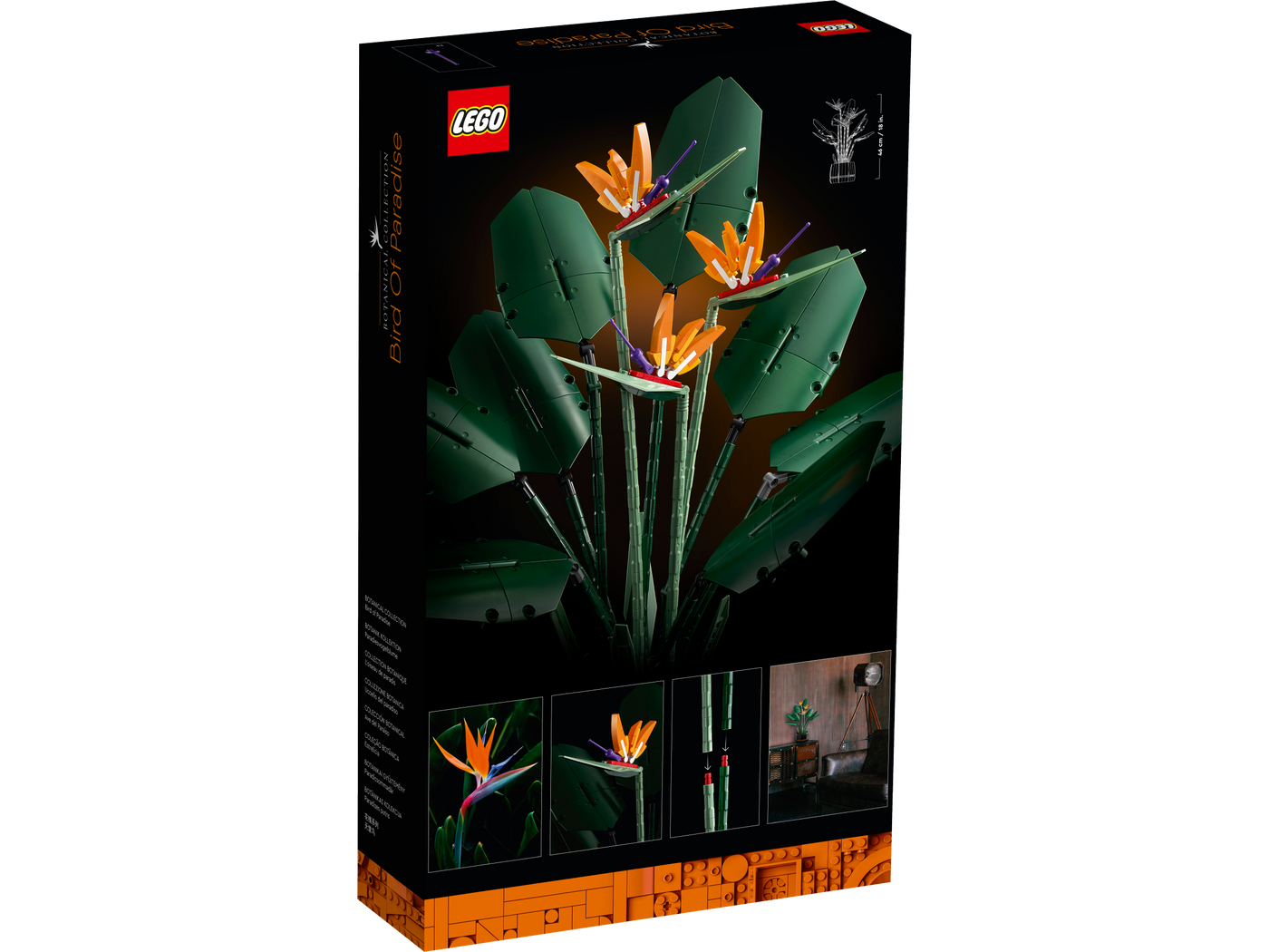 Bird of Paradise – Dreamworld LEGO Store