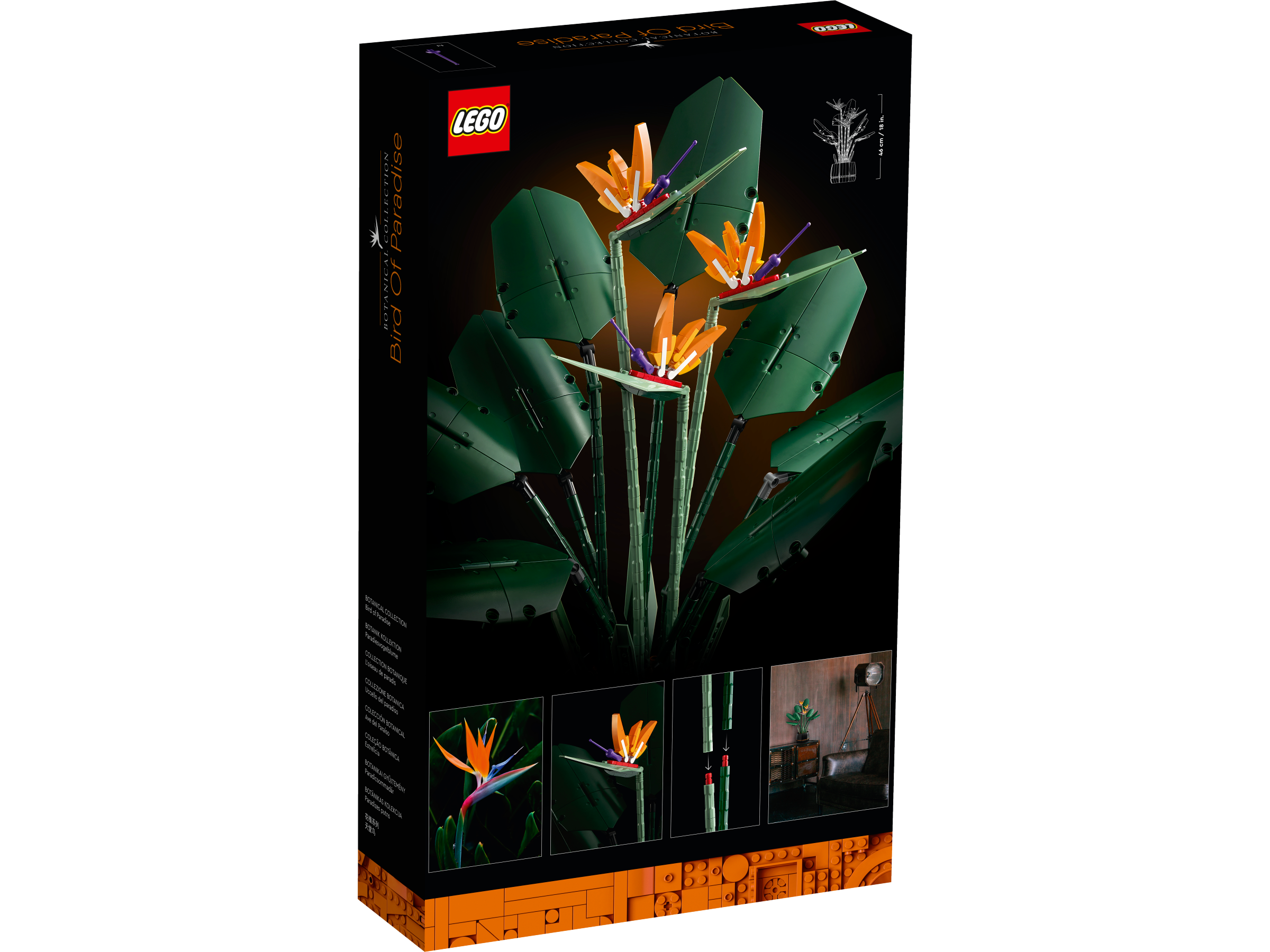 Bird of Paradise – Dreamworld LEGO Store