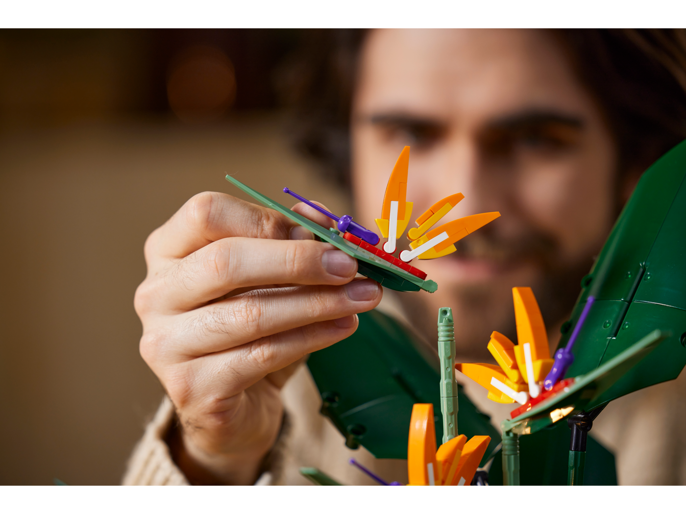 Bird of Paradise – Dreamworld LEGO Store